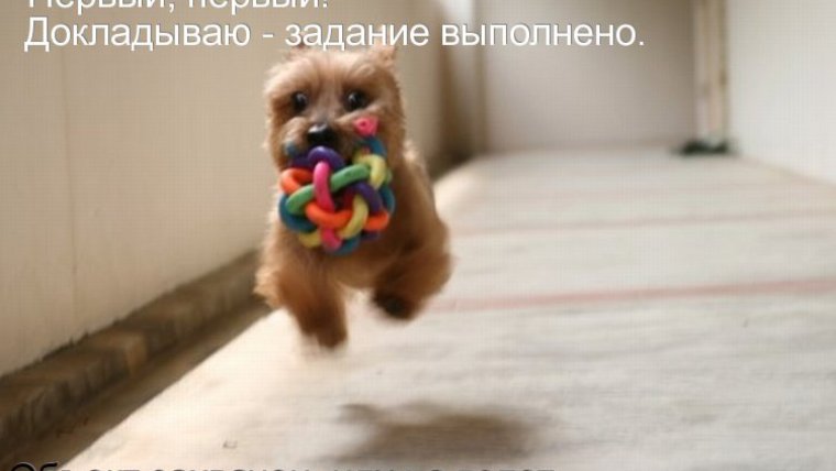 Смешной юмор с надписями без мата