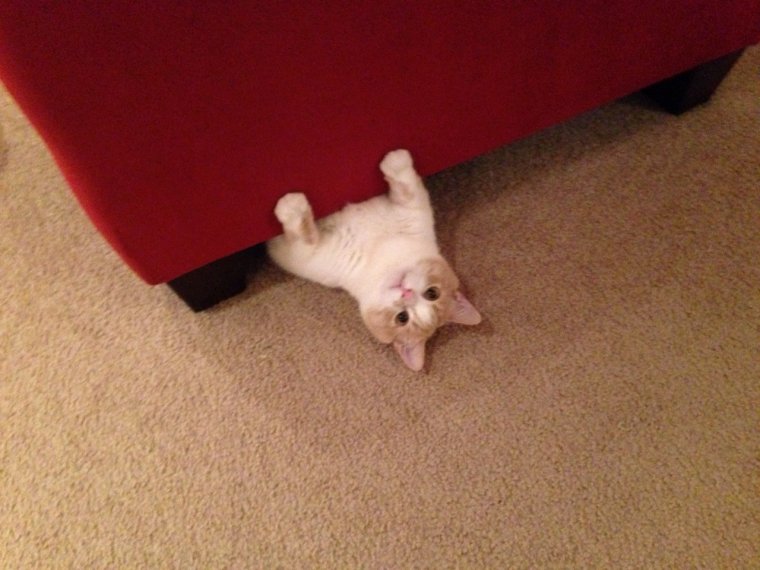 Смешные шутки