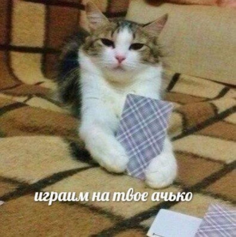 Шутки про Машу и медведя