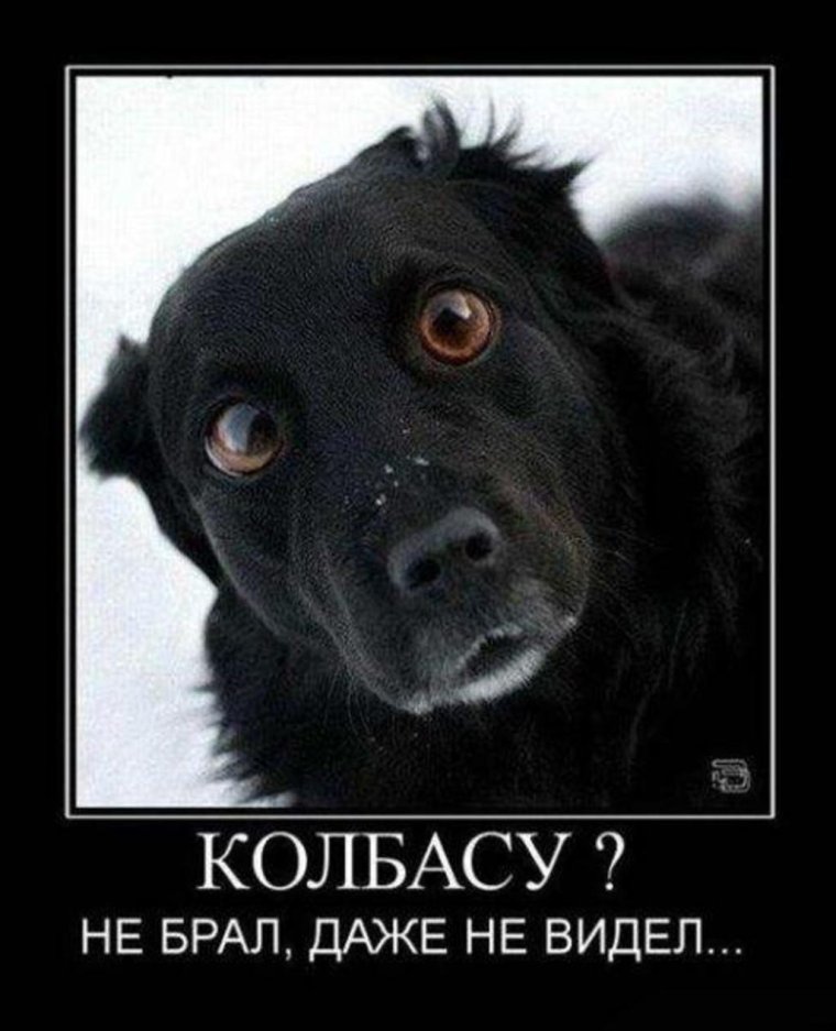 Демотиваторы ржачные