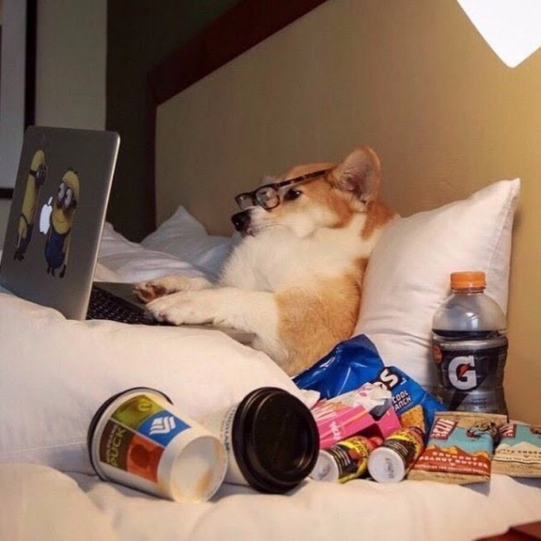 Ленивые выходные