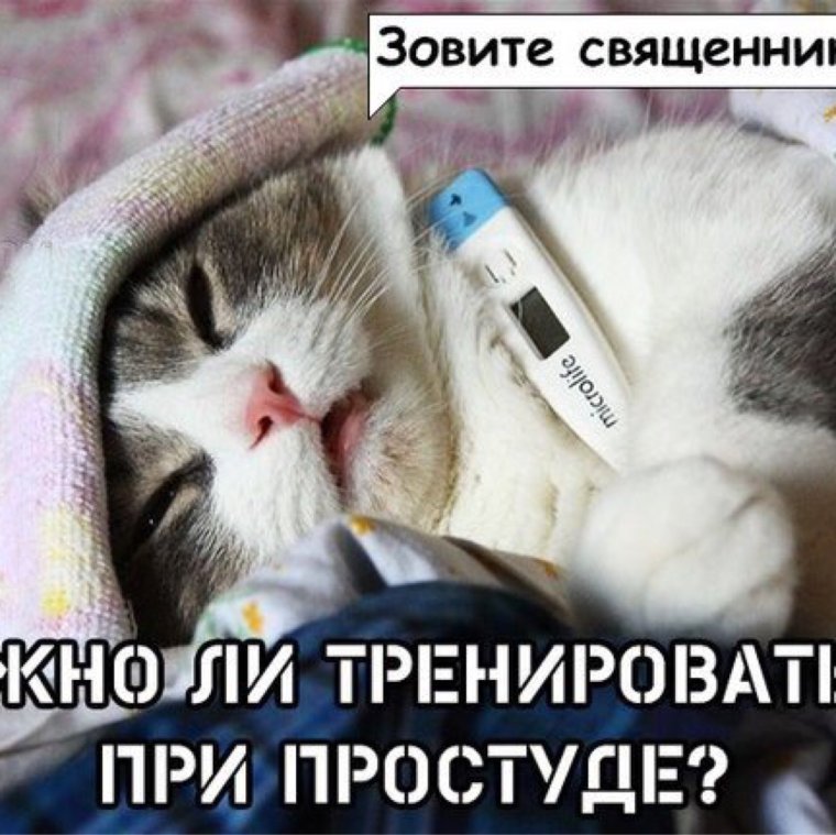 Статус про простуду