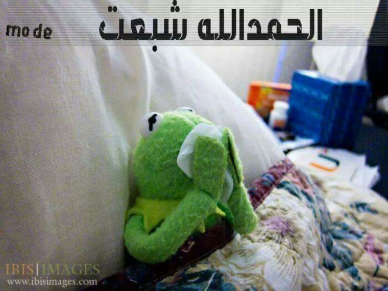 Кермит лягушка болеет