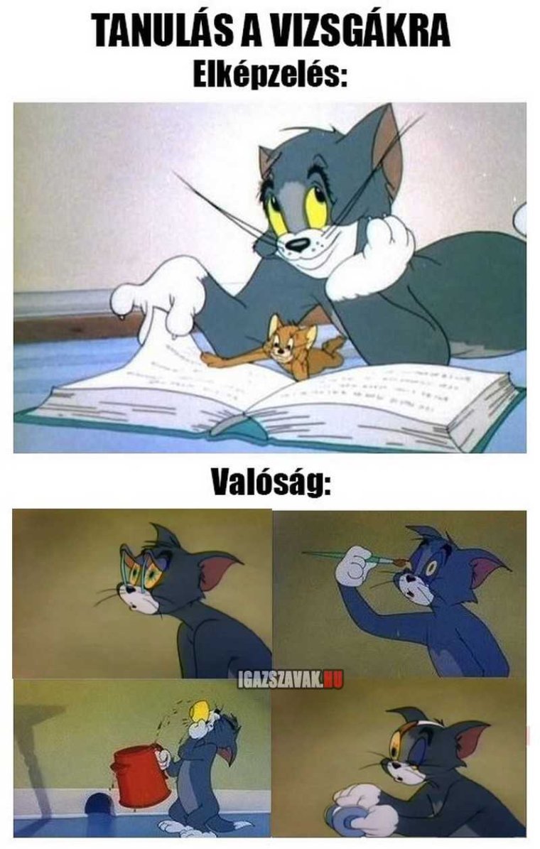 Том и Джерри Мем с книгой