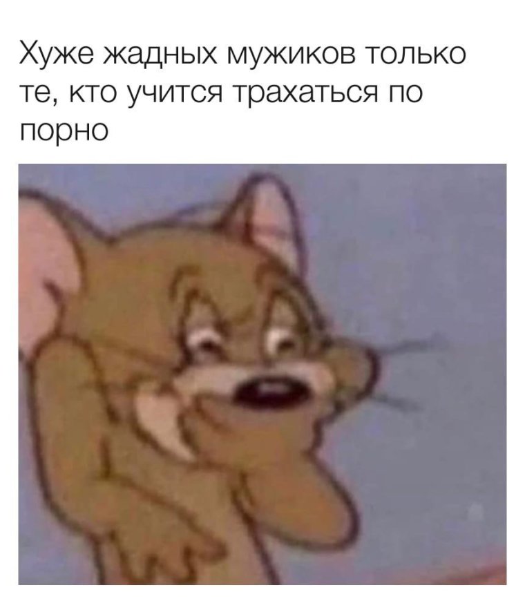 Смешной кот том