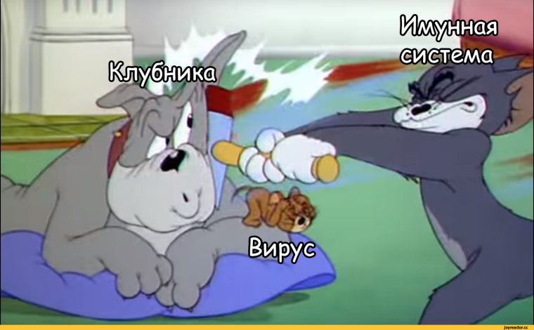 Том с упоротым лицом