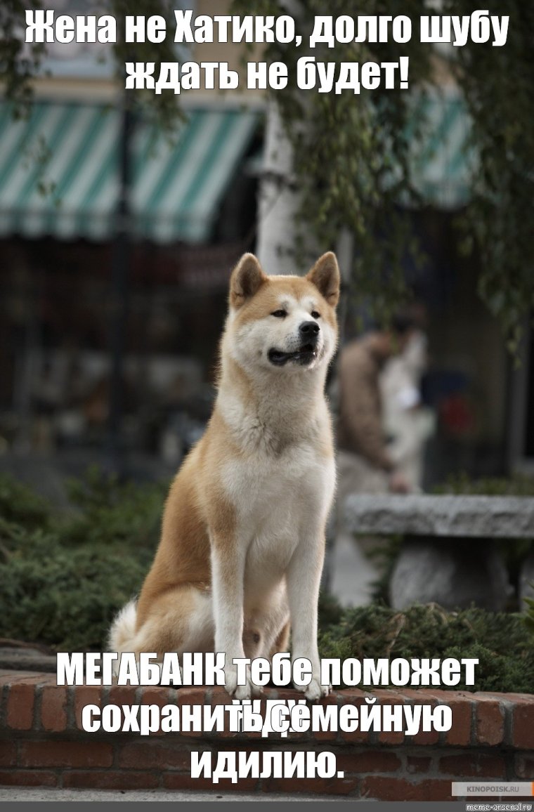 Ок жду Хатико Мем