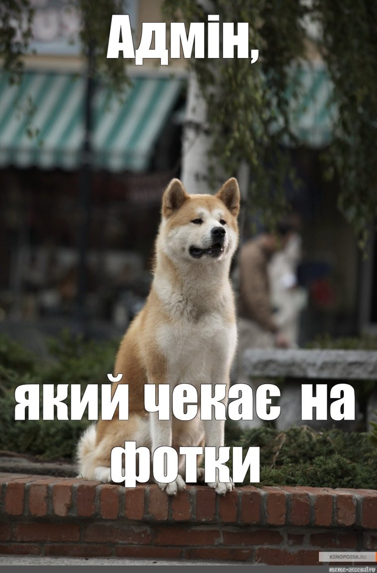 Хатико прикол