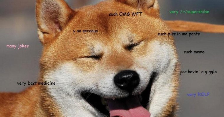 Породы Шиба-ину злой