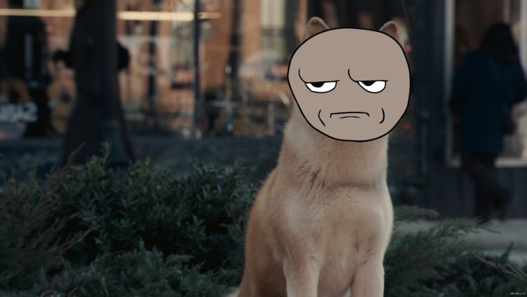 Хатико в ожидании