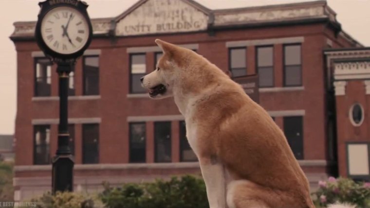 Сцена из фильма Хатико