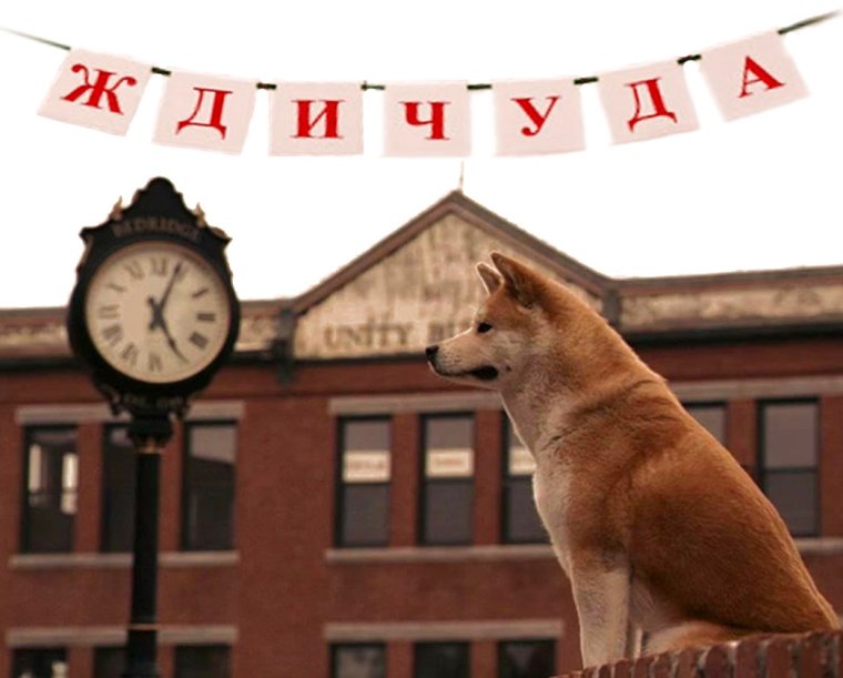 Кино Хатико 2