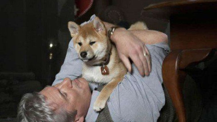 Хатико Лорд фильм