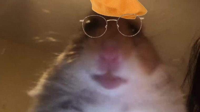 Упоротый хомяк