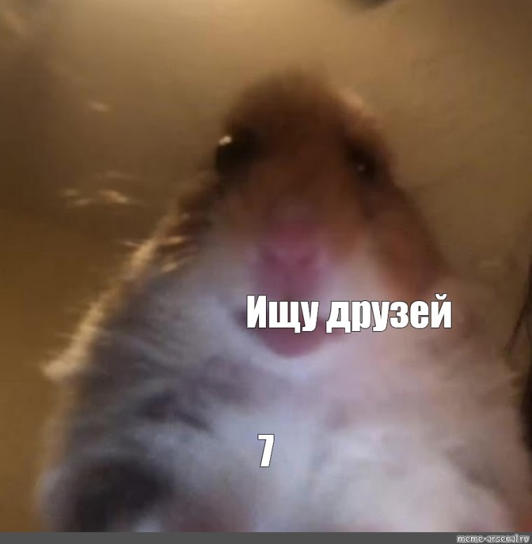 Глеб Толкацкий