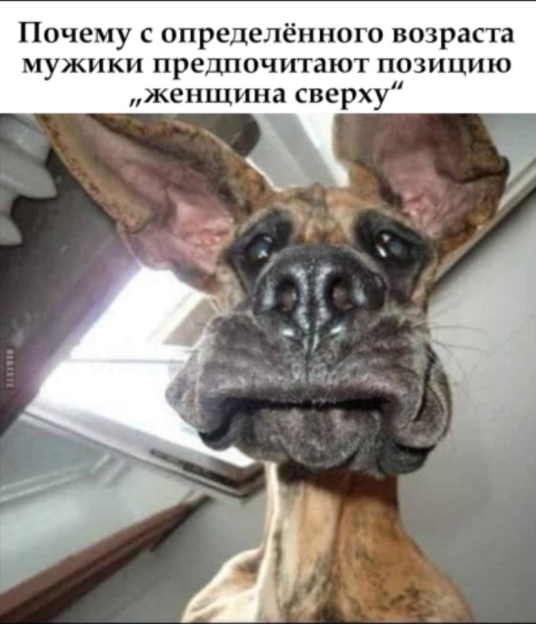 Фронтальная камера прикол