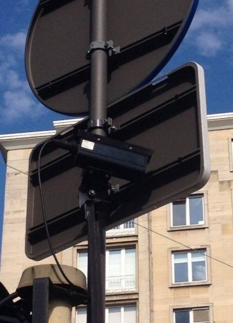 Смешной кот выглядывает