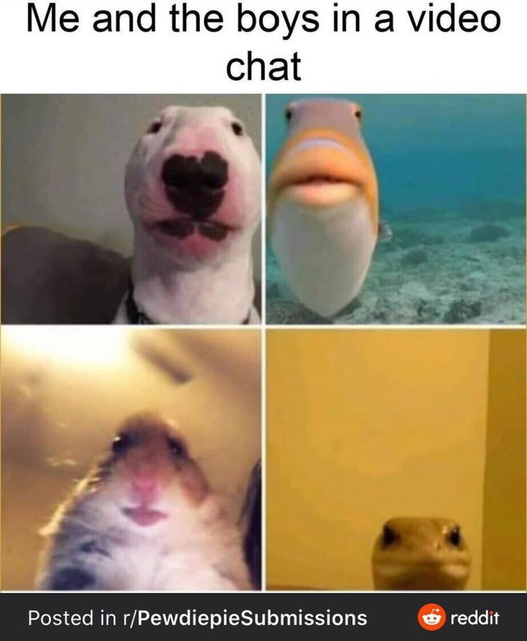 Забавные мемы