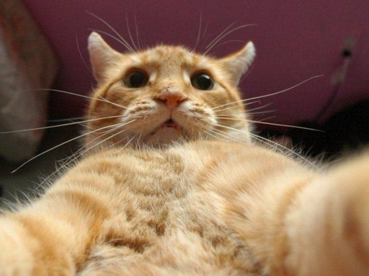 Видеокамеры на перекрестках