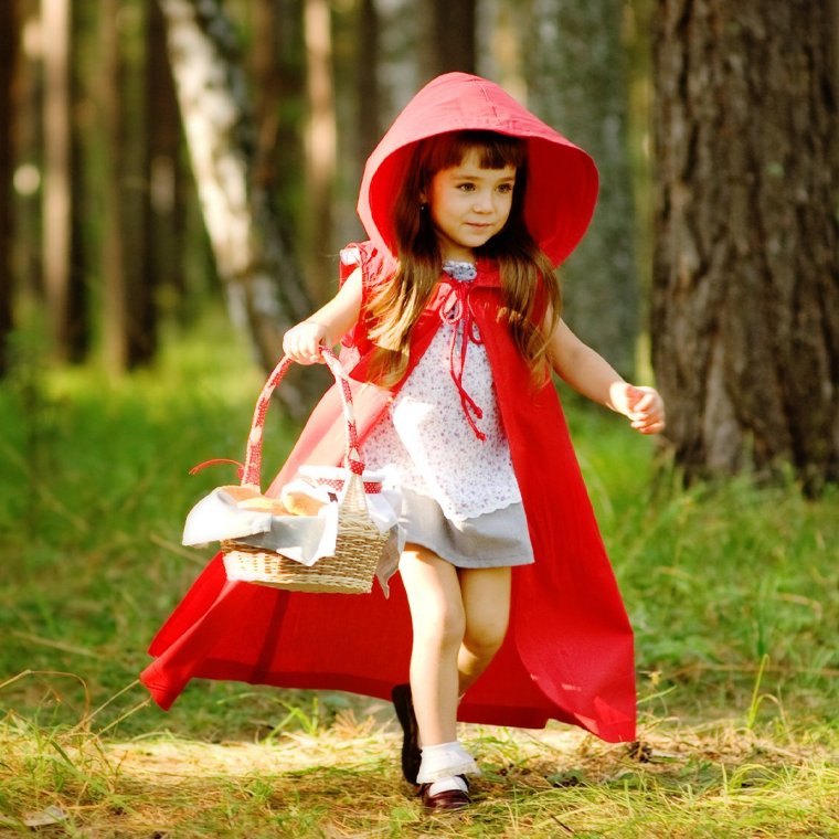 Смешные костюмы для кошек