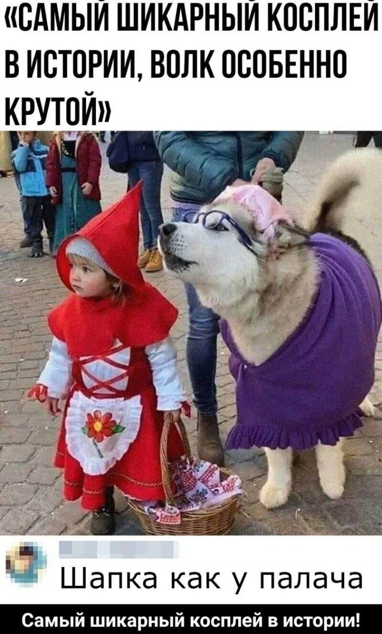 Красная шапочка фото приколы