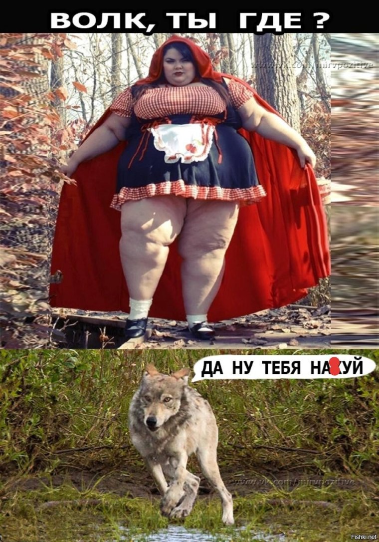 Толстая красная шапочка прикольные