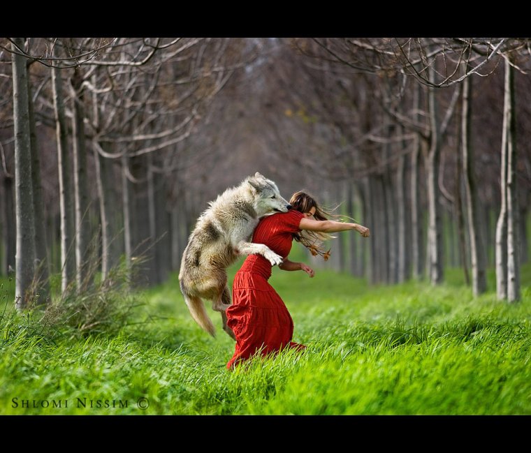 Красная шапочка демотиватор