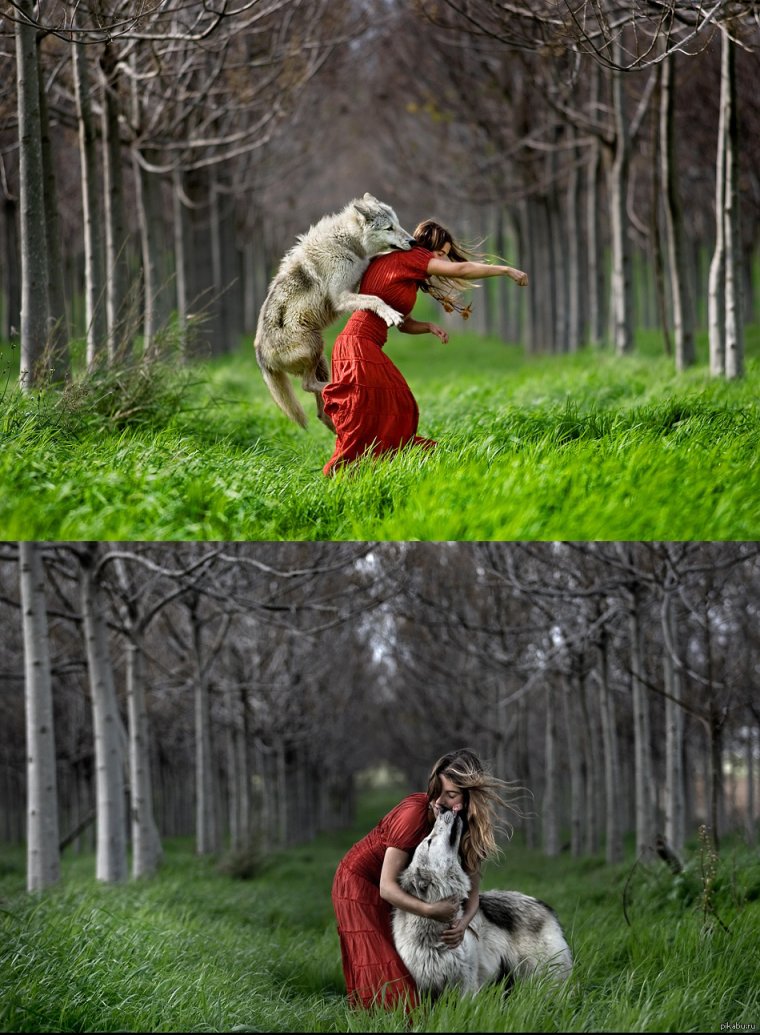 Красная шапочка и волк фотосессия взрослая