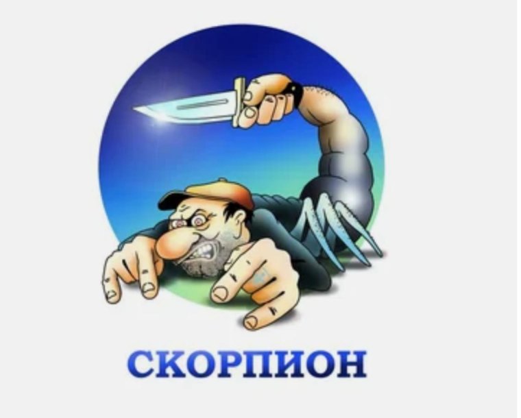 Приколы про скорпионов