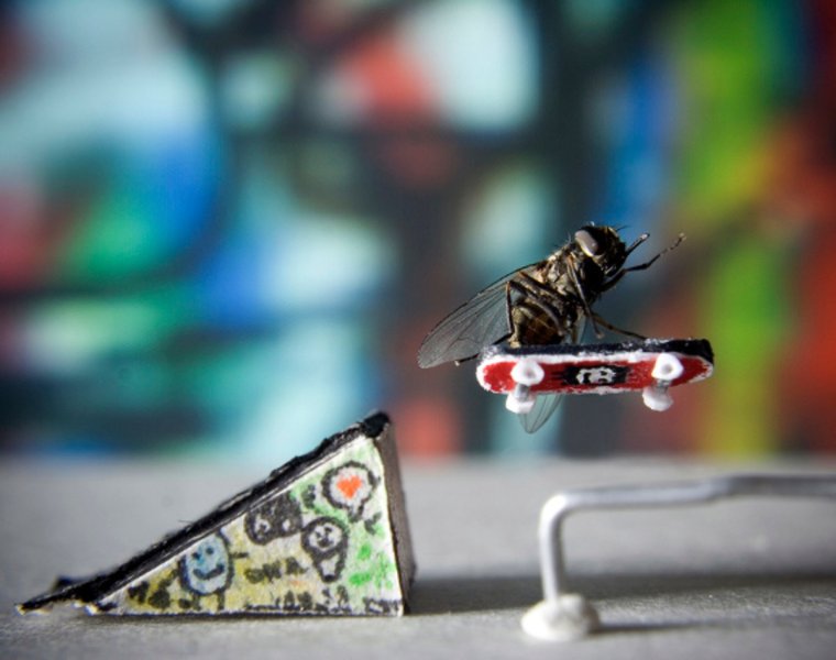 Левша демотиватор