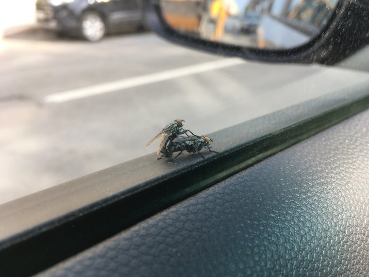 Теперь машина официально не новая