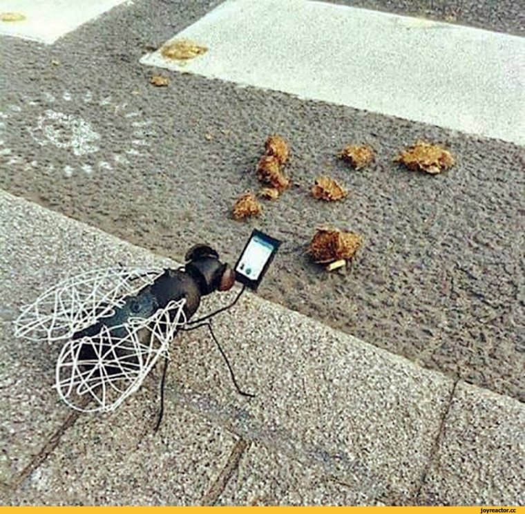 Инсталляция из мух