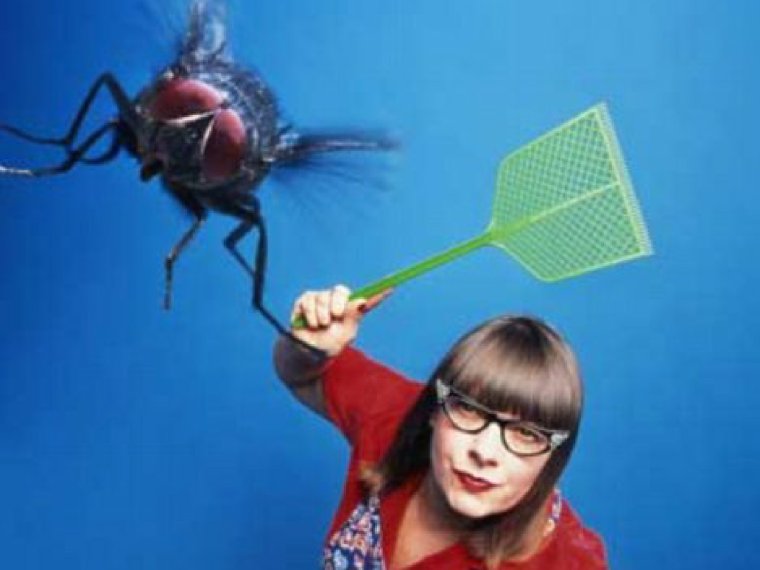 Отмахивается от мух