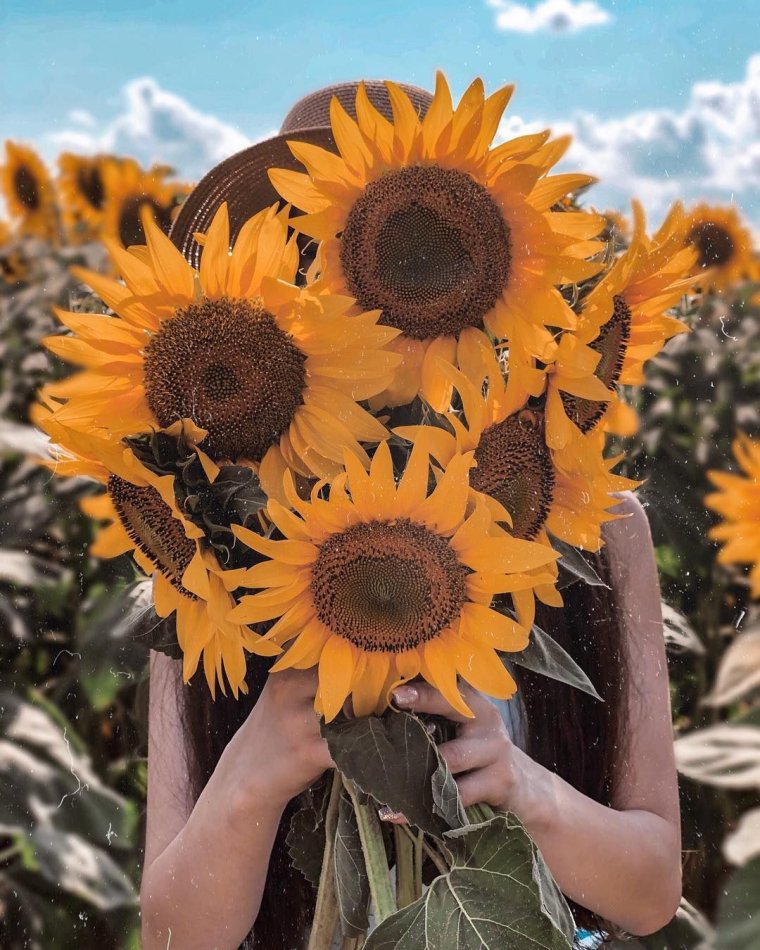 Смешной подсолнух