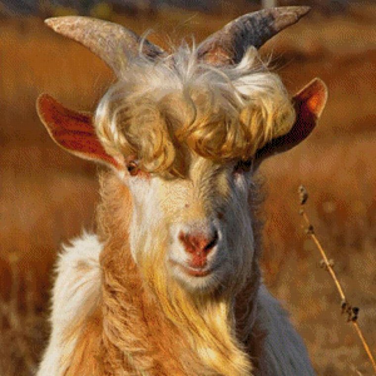 Мужик козел