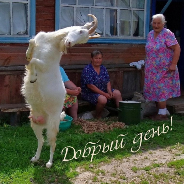 Деревенские приколы