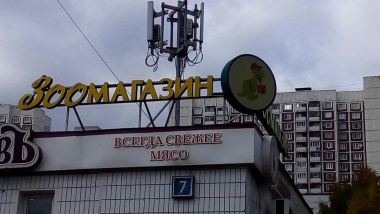 Ужасные вывески