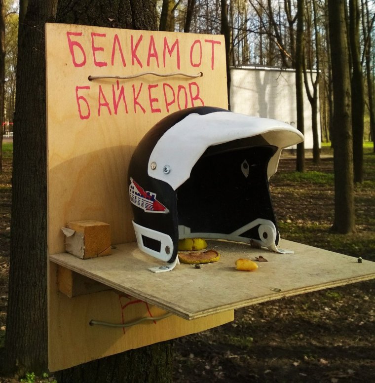 Смешные вывески и реклама