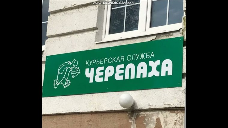 Смешные вывески