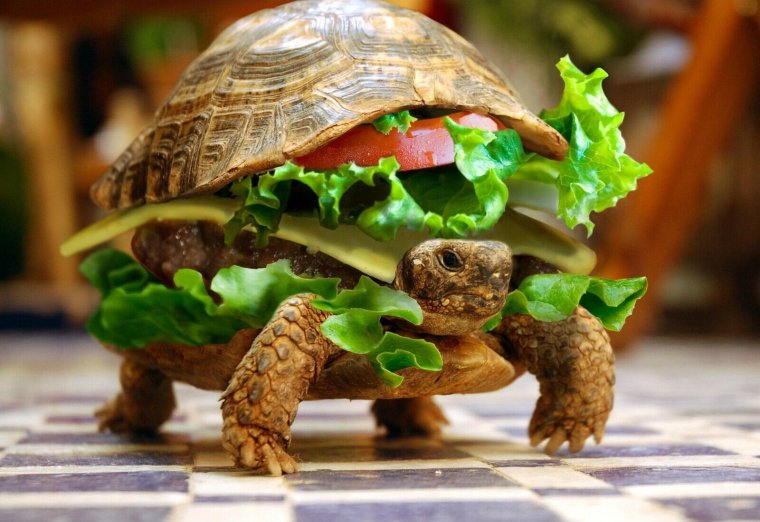 Черепаха бургер