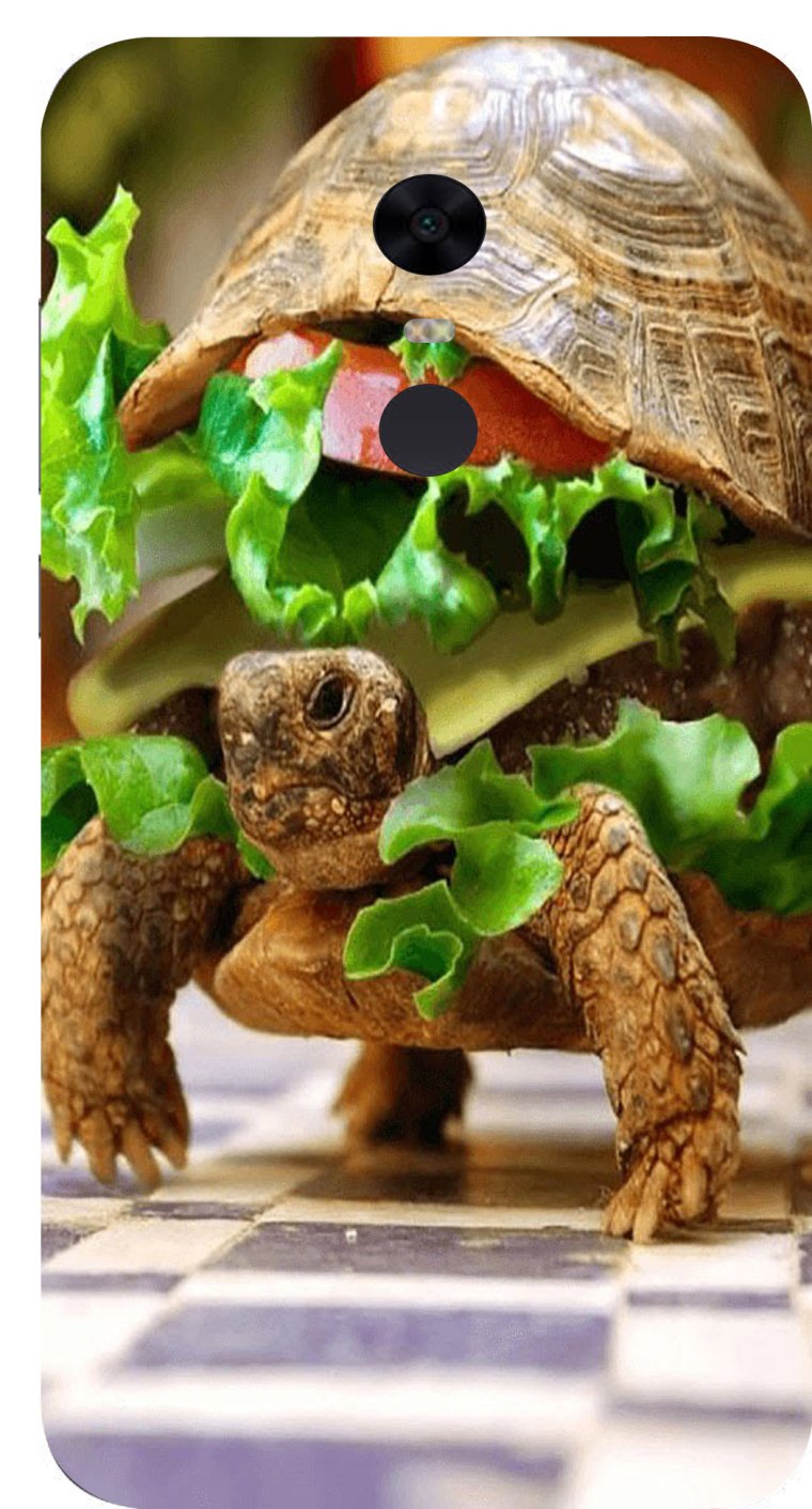 Смешные черепахи