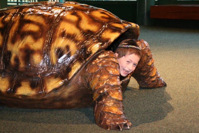 Черепаха и девушка прикол