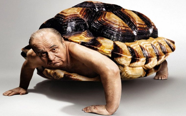 Фотосессия с черепахой