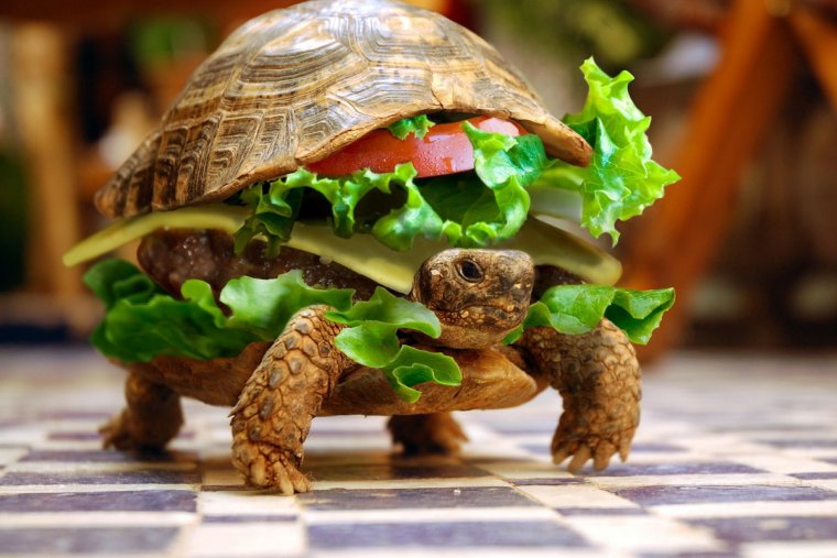 Стол черепаха