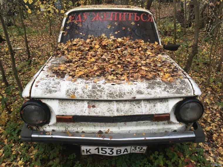 Автомобиль осень прикол