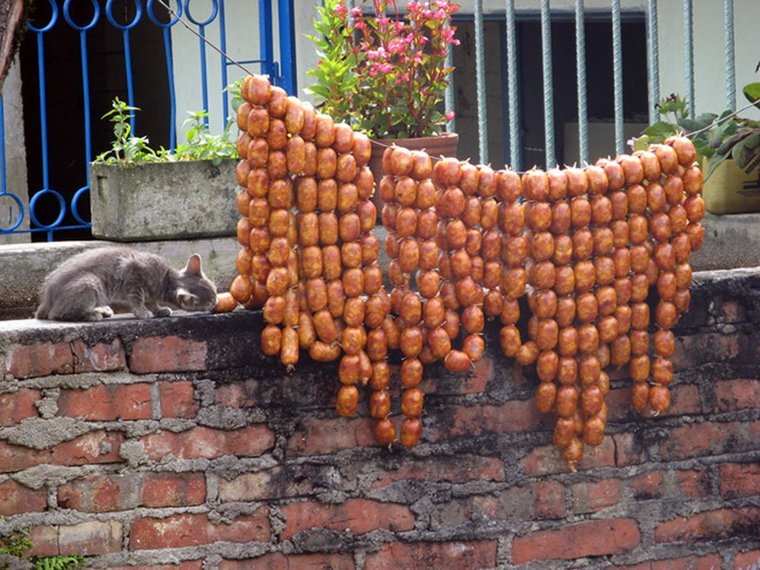 Кот тащит сосиски