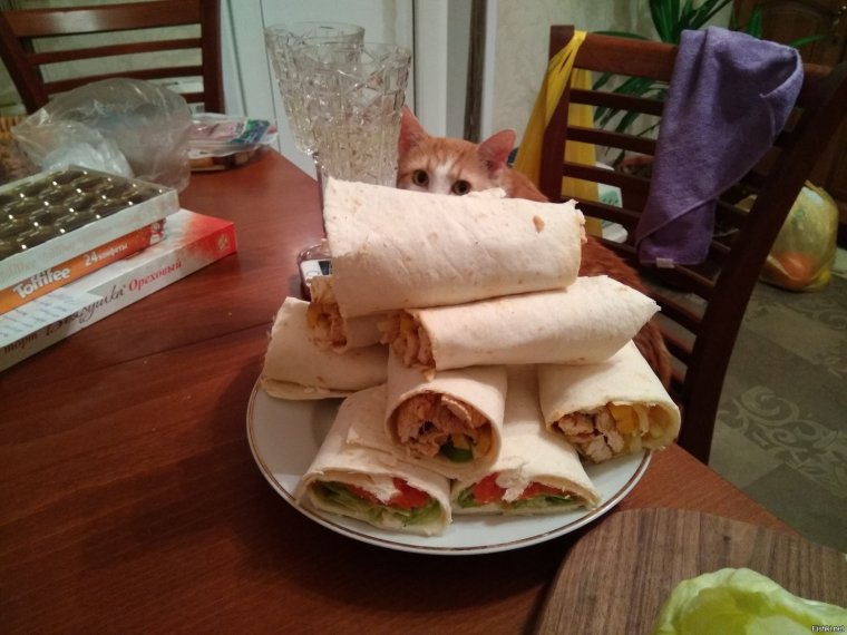 Шаурма из кота