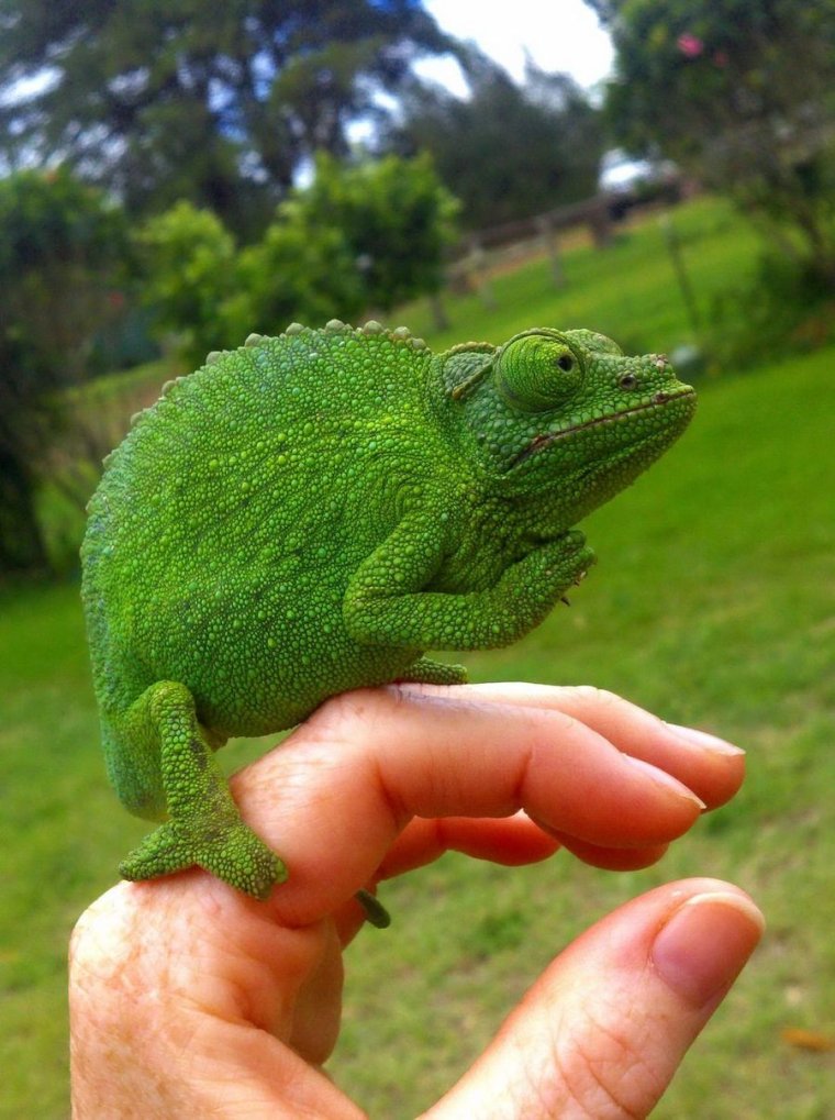 Сфоткай меня типа