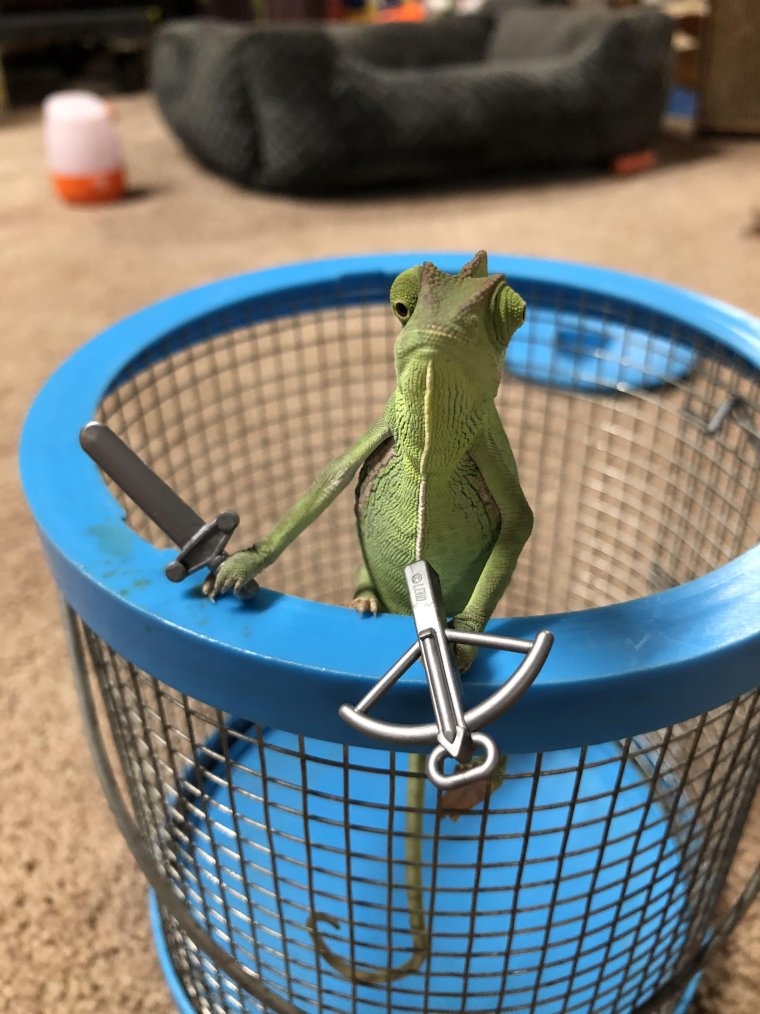 Хамелеон с оружием