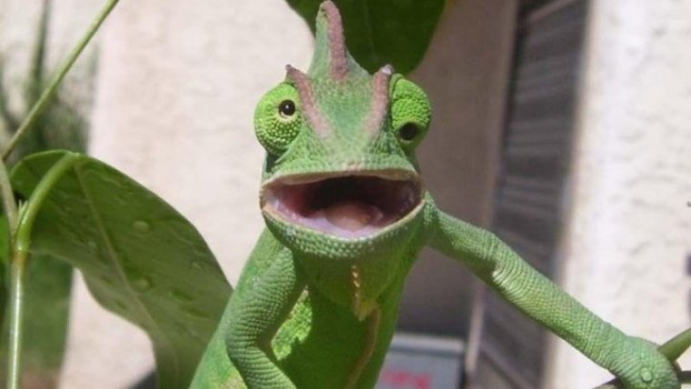 Когда читаешь субтитры и смотришь фильм